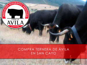 Compra ternera de Ávila en Sancayo