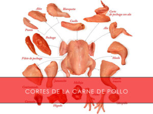 Cortes de la carne de pollo