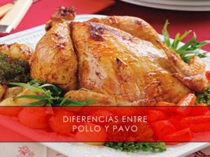 diferencias entre pollo y pavo