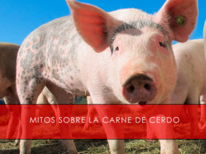 mitos sobre la carne de cerdo